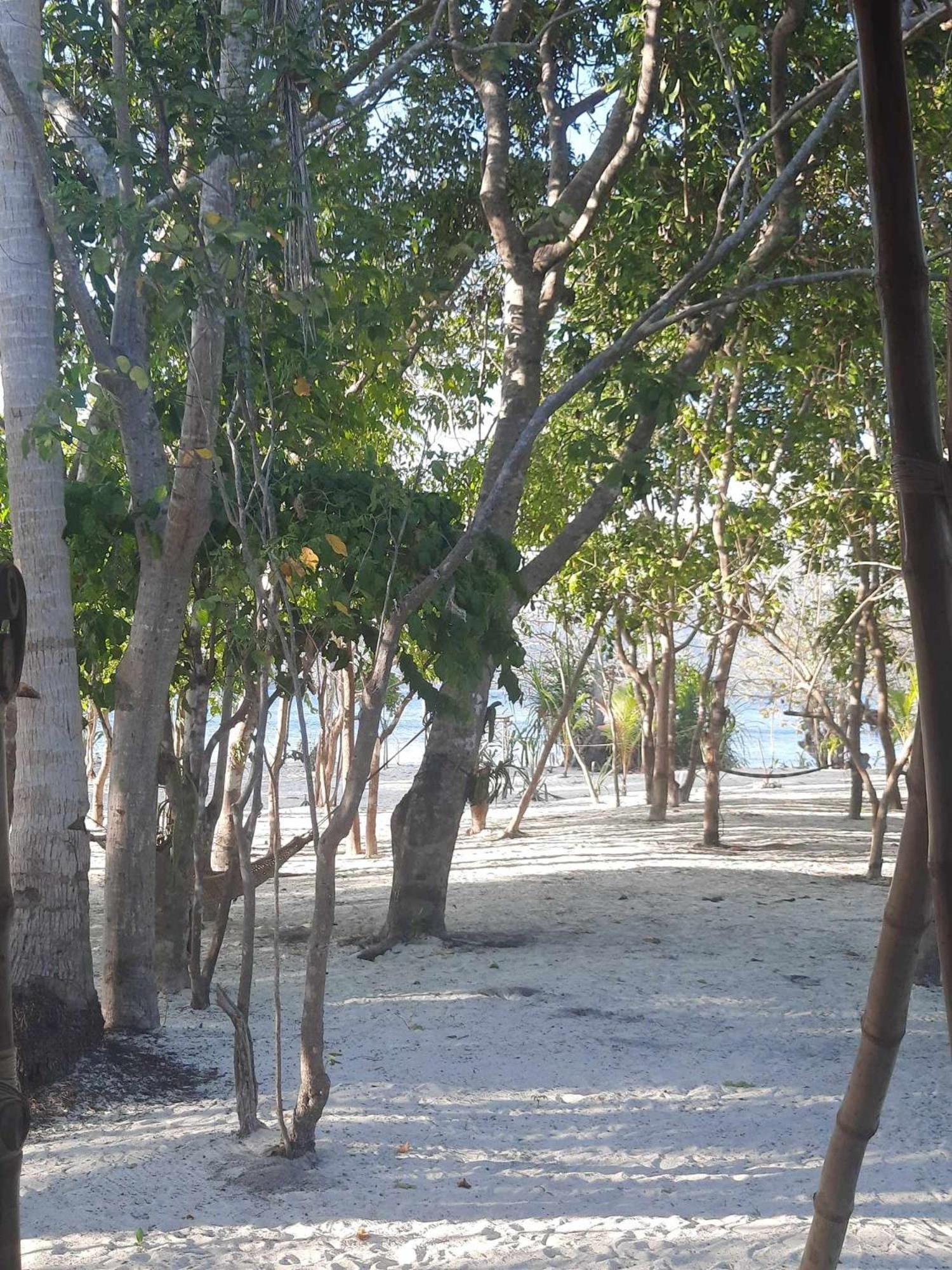 Hotel Dosplaya Ecocamp El Nido Exteriér fotografie