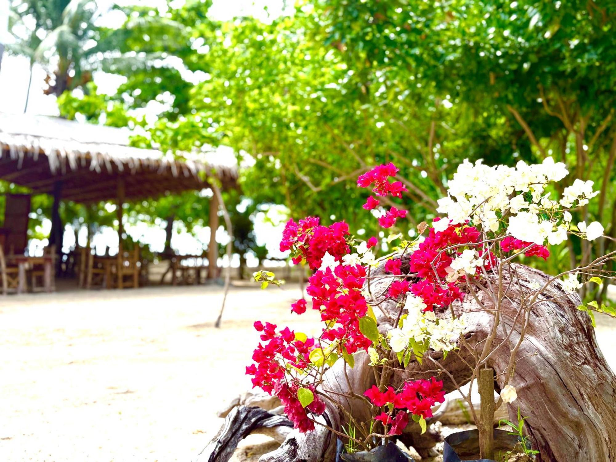 Hotel Dosplaya Ecocamp El Nido Exteriér fotografie